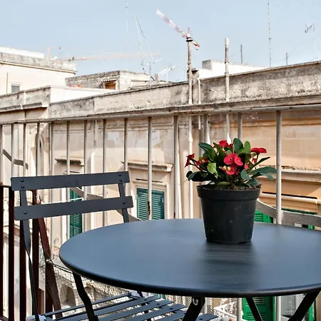 Delfino - Selection *